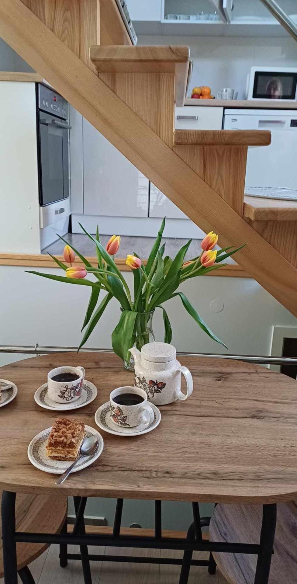 Apartament Pod 12 B Μπιέλσκο-Μπιάλα Εξωτερικό φωτογραφία